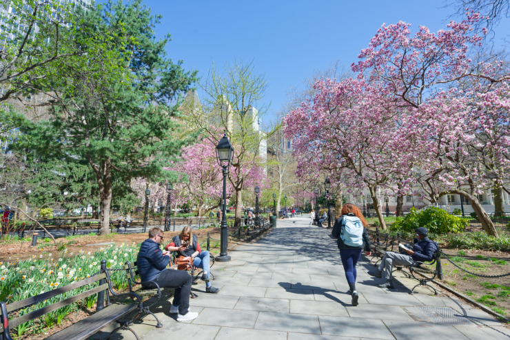 “Tree Days in City Hall Park” is a series of events and activities through April 30. Photo: Carl Glassman/Tribeca Trib